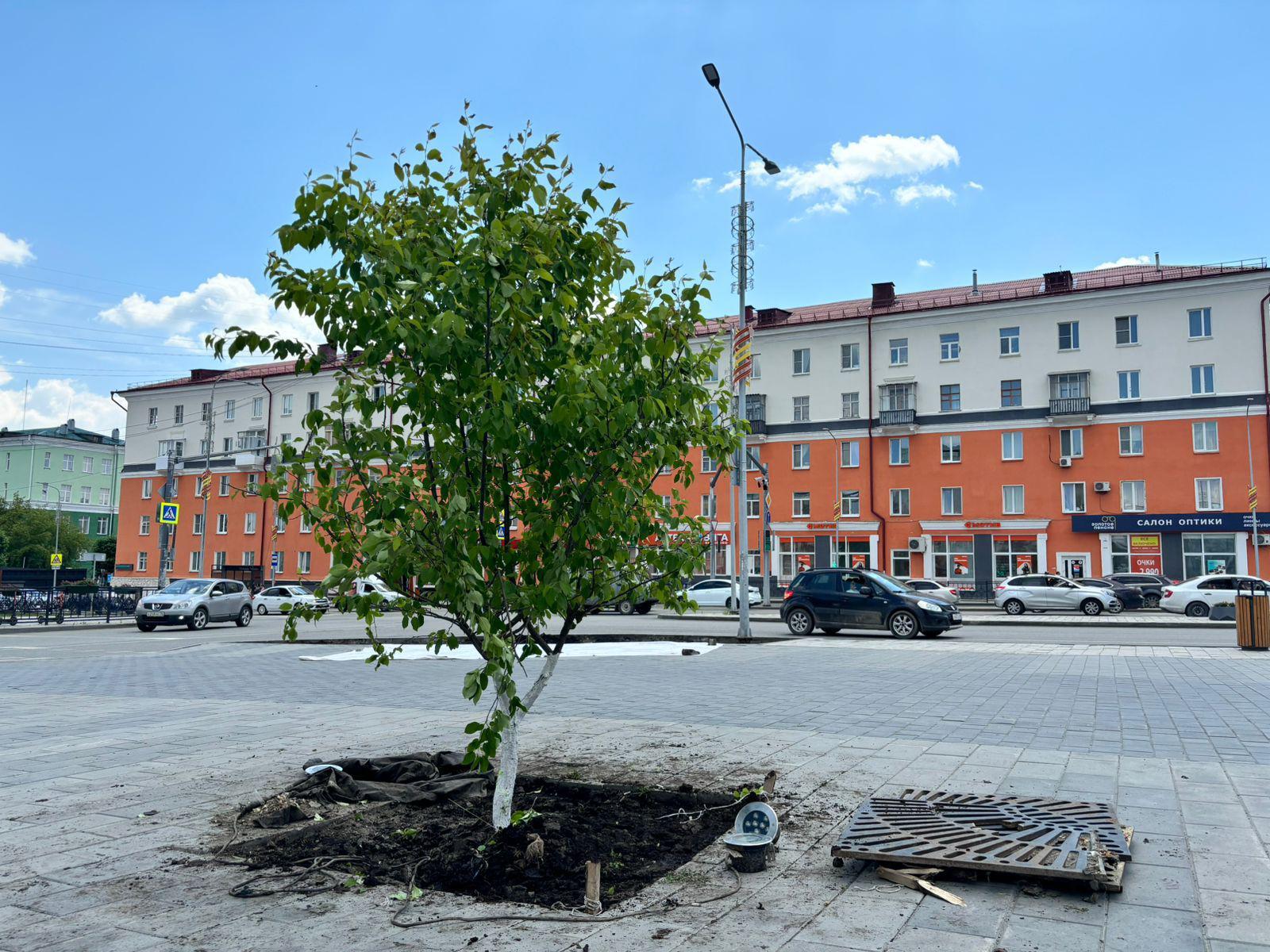 В городе высаживают новые растения | Вечерний Первоуральск